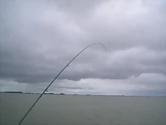 P1150092
