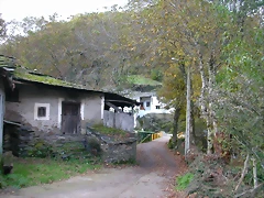 DSCN6162 DSCN6162