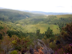 DSCN4432 DSCN4432