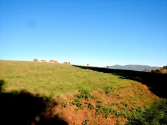 DSCN0655 DSCN0655