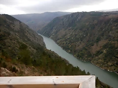 DSCN0211 DSCN0211