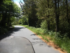 DSCN5400