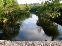 DSCN1197