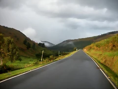 DSCN8478 DSCN8478