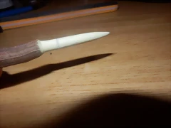 010 010