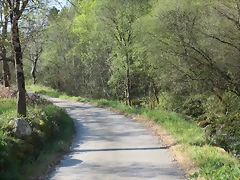 06-IMG_5661 06-IMG_5661