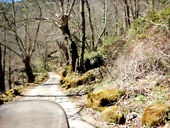 DSCN3797 DSCN3797