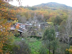 DSCN6165 DSCN6165