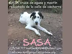 SASA Crdoba