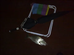 090720111065 090720111065