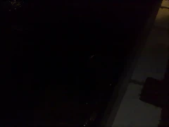 090720111067 090720111067