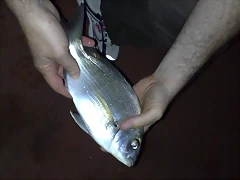 100720111070 100720111070