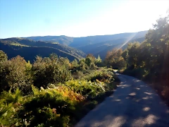 DSCN0667 DSCN0667