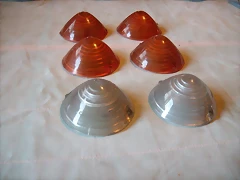 SANY7881 SANY7881