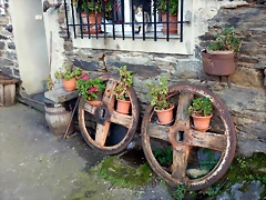 DSCN0973 DSCN0973
