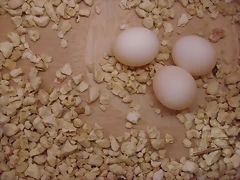 huevos de rikki y kitty huevos de rikki y kitty