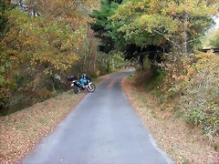DSCN7468 DSCN7468