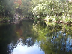 DSCN7475 DSCN7475