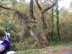 DSCN7469 DSCN7469