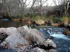 DSCN6703 DSCN6703
