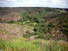 DSCN2740 DSCN2740
