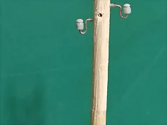 1724009967193 1724009967193