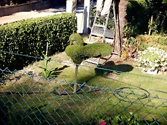 DSCN4242 DSCN4242