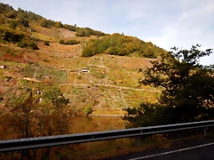 DSCN0618 DSCN0618