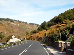 DSCN0621 DSCN0621
