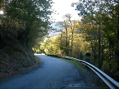 DSCN6461 DSCN6461