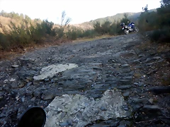 DSCN2947 DSCN2947