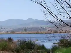 La laguna de mi pueblo el Padul