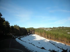 DSCN2525 DSCN2525