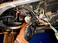 DSCN1356 DSCN1356