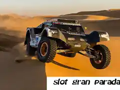 dakar-2013-buggy-smg-6 (1)