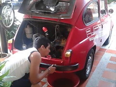 FITO 17