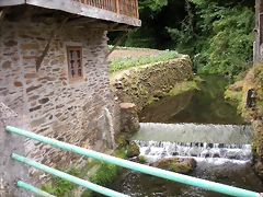 DSCN5677