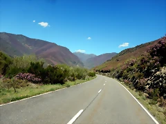 DSCN9450 DSCN9450