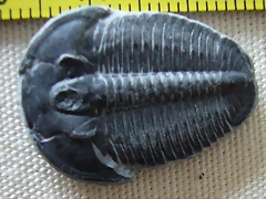 134ab 134ab