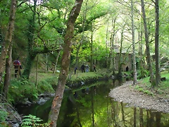 IMG_1570 IMG_1570