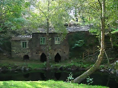 IMG_1556 IMG_1556
