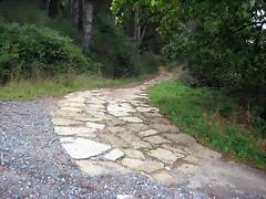 IMG_0206 IMG_0206