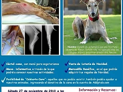 cartel_2010 cartel_2010