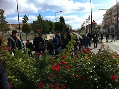 IMG_0228 IMG_0228