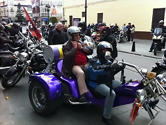 IMG_0223 IMG_0223
