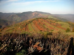 DSCN0410