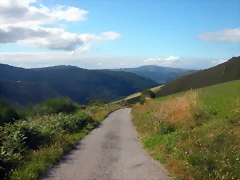 DSCN0739 DSCN0739
