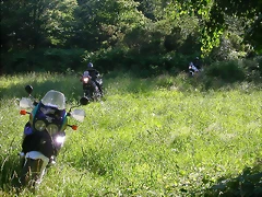 DSCN0722 DSCN0722