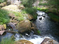 DSCN0843 DSCN0843
