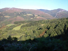 DSCN0763 DSCN0763